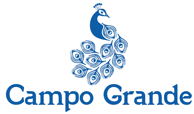 logo-azul_png